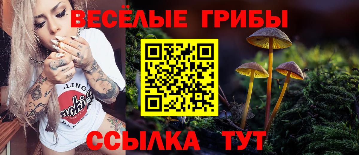 Псилоцибиновые грибы Psilocybine cubensis  Вход с VPN  Скопин 