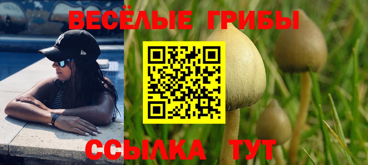 Псилоцибиновые грибы GOLDEN TEACHER Скопин